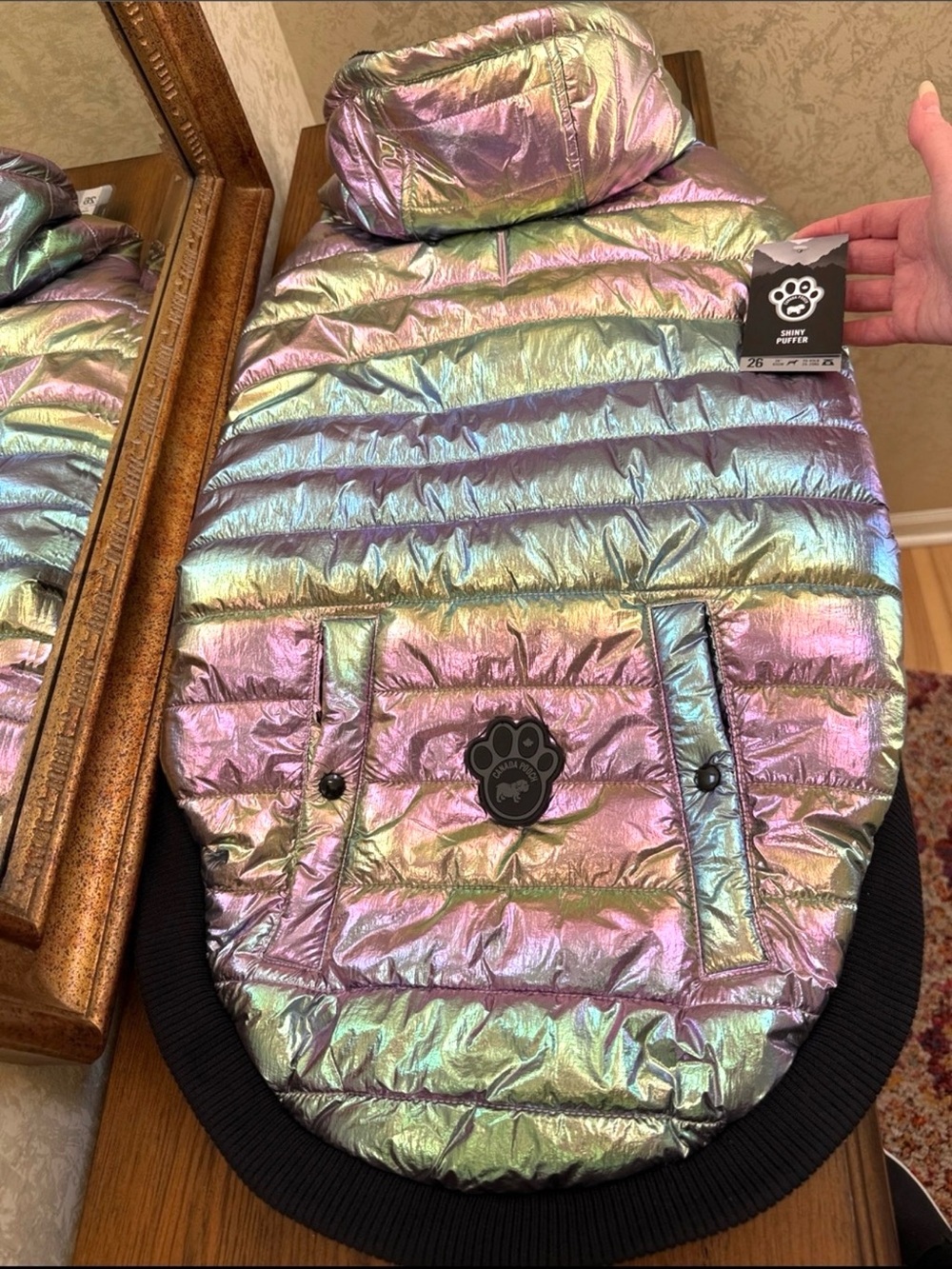 Canada Pooch Dog Iridescent Metalic Hooded Puffer Jacket. Size 26.